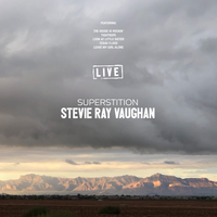 Wall of Denial - Stevie Ray Vaughan