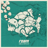 Play Dumb - Roam