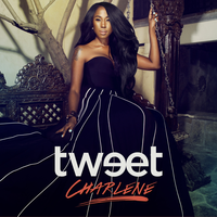 Somebody Else Will - Tweet, Missy  Elliott