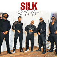 Love 4 U To Like Me - Silk