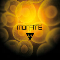 Monitor - Nórdika