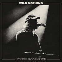 Golden Haze - Wild Nothing
