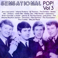 There Goes My Baby - The Drifters