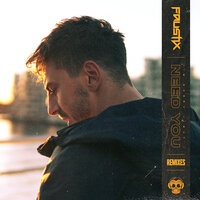 Need You - Faustix, Lynx