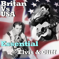 Blue Suede Shoes - Elvis Presley