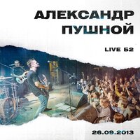Невезуха - Александр Пушной