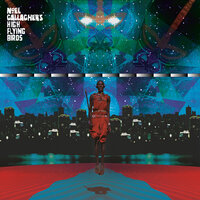 Evil Flower - Noel Gallagher's High Flying Birds