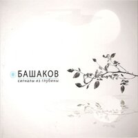 Скажи "ОМ" - Михаил Башаков