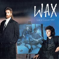 Bug in the Machine - Wax
