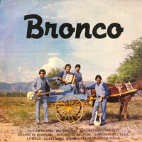 La Mula - Bronco