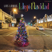 Amarga Navidad - Los Lobos