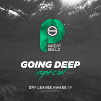 Dry Leaves Awake - DJ Lion, BONDI