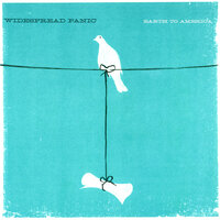 From the Cradle - Widespread Panic