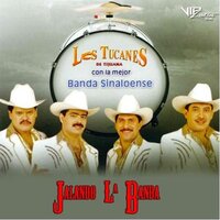 Soy Parrandero - Los Tucanes De Tijuana