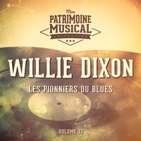 Hidden Charms - Willie Dixon, Charles Clarke