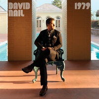 Someone Like You - David Nail