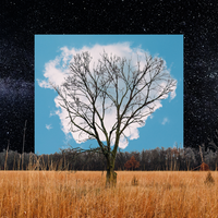We Watch The Stars - Fink