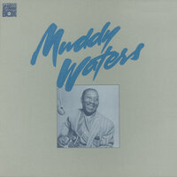 Short Dress Woman - Muddy Waters