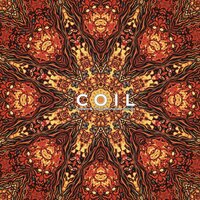 Light Shining Darkly - Coil