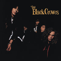 Could I've Been So Blind - The Black Crowes