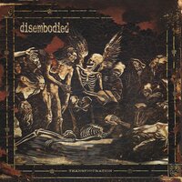 Amaranth - Disembodied