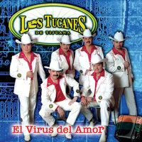 ¿Cómo La Ves? - Los Tucanes De Tijuana