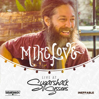 Can't Take It With You When You Go - Mike Love