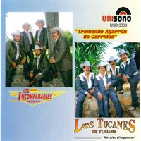 El Bravero - Los Tucanes De Tijuana