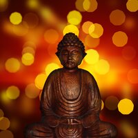 Serene Daydream - Musica Para Estudiar Academy, Mindfullness Meditation World, Nature Sounds