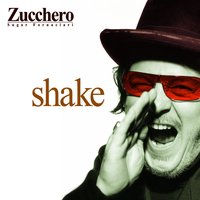 I'm In Trouble - Zucchero
