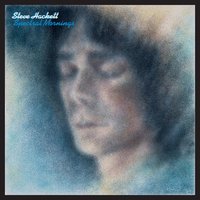 Tigermoth - Steve Hackett