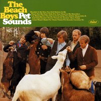 Hang On To Your Ego - The Beach Boys