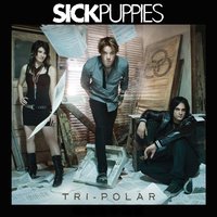 All The Same - Sick Puppies