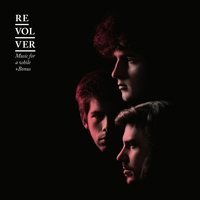 Birds In Dm - Revolver