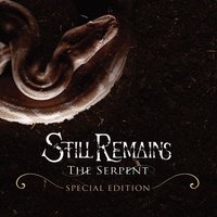 Still Remains
