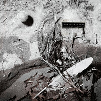 Mother And Child - David Sylvian