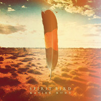 Creating A Dream - Xavier Rudd