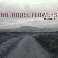 Hothouse Flowers