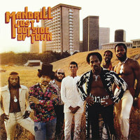 Mango Meat - Mandrill