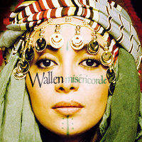 Répare-moi - Wallen, Micky Green