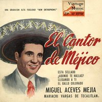 Llegando A Ti (Ranchera) - Miguel Aceves Mejía, Mariachi Vargas de Tecalitlan