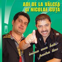 Eu As Da Zilele Mele / I 'Ll Give You My Days - Nicolae Guta