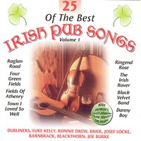 Finnegan's Wake - Ronnie Drew