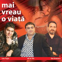 Sunt Barbat De Calitate / I'M A Realy Man - Nicolae Guta