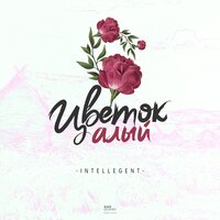 Цветок алый - INtellegent