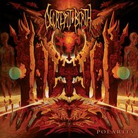 Mirroring Dimensions - Decrepit Birth