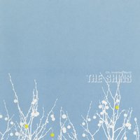 the Shins