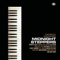 Big Town Playboy - Muddy Waters, Little Johnny Jones