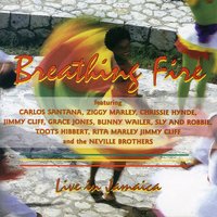 Your Roots Are Reggae - Bunny Wailer