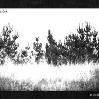Hunting Season - The Dodos